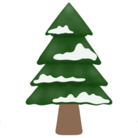 Pine tree with snow png