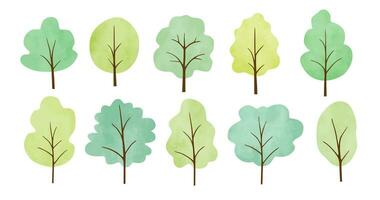 Set of different watercolor trees vector