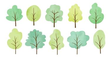 Set of different watercolor trees vector