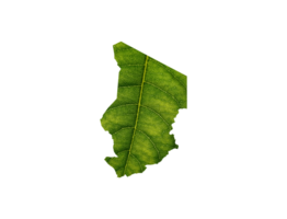 Chad mapa hecho de verde hojas ecología concepto png