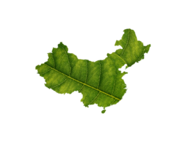 China map made of green leaves  ecology concept png