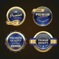 Luxury golden blue badges and labels. Retro vintage circle badge design vector