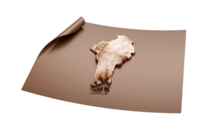 kaart van Benin oud stijl bruin Aan uitgerold kaart papier vel , 3d illustratie png