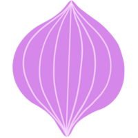 The Red onion png
