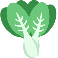 de groente bok choy png