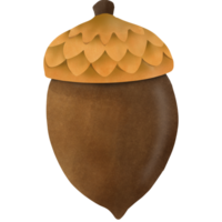 The Oak seed png