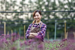 Asian gardener holding garden secateurs while working in purple chrysanthemum farm for cut flower business concept photo