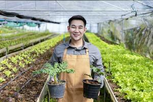 retrato de asiático local granjero creciente ensalada lechuga en el invernadero utilizando orgánicos suelo Acercarse para familia propio negocio y cosecha algunos para rebaja foto