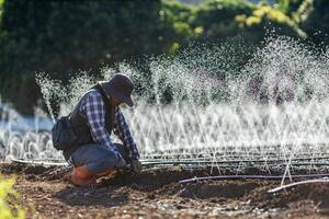 Asian farmer is fixing the clogged in the hose of irrigation watering system  growing organics plant during spring season and agriculture concept photo