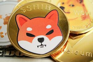 Dogecoin with Wow for online business and commercial, Digital currency, Virtual cryptocurrency. photo