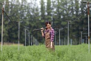 retrato de asiático jardinero mujer participación jardín tenedor mientras trabajando en crisantemo granja para cortar flor negocio foto