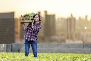 asiático mujer jardinero es cosecha orgánicos vegetales mientras trabajando a techo urbano agricultura para ciudad sostenible jardinería en limitado espacio a reducir carbón huella contaminación y comida seguridad foto