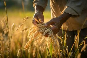 farmer hands harvesting rices tree at rice farm bokeh style background with Generative AI photo