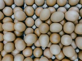 Top view of chicken eggs on a cardboard tray. Food background. photo