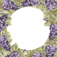 acquerello piazza telaio mazzo di blu uva, le foglie e bacca. vite etichetta mano dipinto illustrazione design di carta, vino elenco, invito, ristorante, bar stampa. png