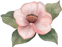 roze camelia bloem groen blad lijn kunst kleurrijk schets zwart bloemblad knop feestelijk vakantie png