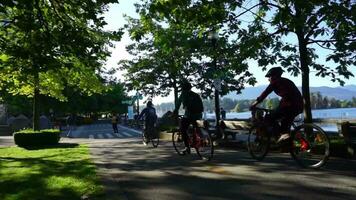 People enjoy leisurely cycling and walking through a lush park, under a canopy of vibrant green trees, along a picturesque marina, with majestic mountains as a breathtaking backdrop. video