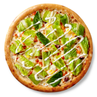 pizza på yoghurt bas med mozzarella, kyckling sous video, vaktel ägg, sallad png