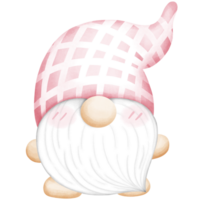 gnome bär en hatt png
