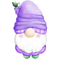 gnome porte une fruit chapeau png