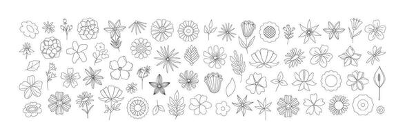Big set of linear retro flowers, doodles. Line art botanical stickers, emblems, logo, icons. Wildflowers, groovy daisies. Modern simple art. Nostalgia vintage. vector