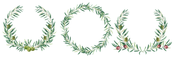 Watercolor olive wreaths. Circle and oval border frames, green and black fruits. Hand drawn botanical illustration. Can be used for cards, logos and food design. png