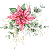 eucalipto y flor de pascua Navidad ramo de flores mano pintado acuarela ilustración png