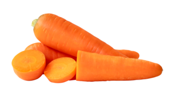 Two fresh orange carrots with slices in stack isolated with clipping path in png file format Close up of healthy vegetable root