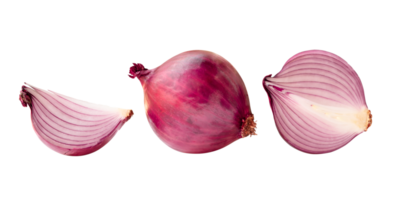 Set of fresh red onion bulb with half and slice isolated with clipping path in png file format