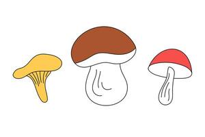 Set of cute mushrooms in vector doodle style, isolated.