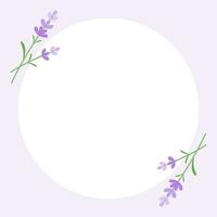 lavender square background vector