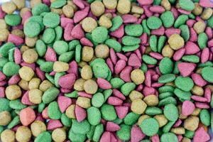Dry pet food in bowl close-up. Pet food background photo