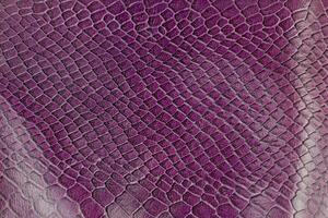 Purple crocodile leather texture background. Close up of snake skin. photo