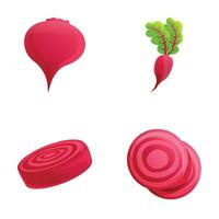 Beet icons set cartoon vector. Whole and chopped beetroot vector