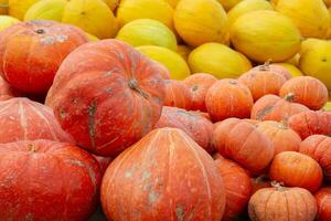 Close-up orange and yellow pumpkins piled up. Sale of pumpkins and autumn harvest. photo