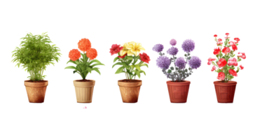 diferente colorida flores dentro panelas . ai gerado png