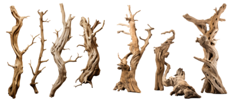 dead trees . AI Generated png