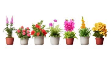 different colorful flowers in pots . AI Generated png