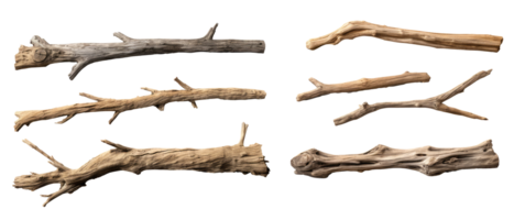 Driftwoods . ai generato png