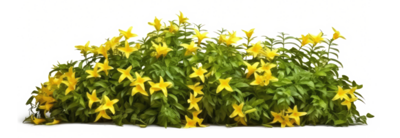 grupp av jasminum nudiflorum kryp växter . ai genererad png