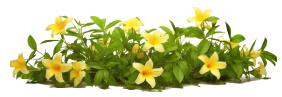 groupe de Jasminum nudiflore léche-botte les plantes . ai généré png