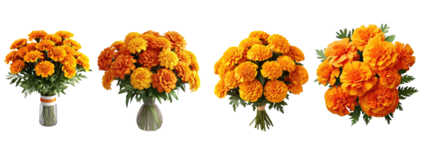 marigold flower bouquet arrangement . AI Generated png