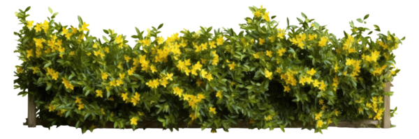 Tropical Flower shrub bush fence tree isolated plant with clipping path . AI Generated png