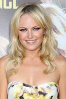 LOS ANGELES  AUG 23 Malin Akerman arrives at the Going the Distance Los Angeles Premiere at Graumans Chinese Theater on August 23 2010 in Los Angeles CA photo