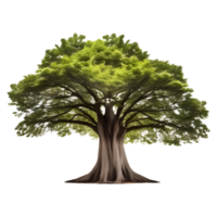 gros arbre isolé sur transparent Contexte. ai génératif png