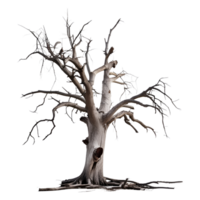 Dead Tree Isolated on Transparent Background. AI Generative png