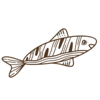 pescado arte lineal ilustración png