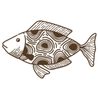 Fisch lineart Illustration png