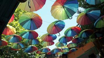 arcobaleno ombrello su cielo sfondo. molti colorato gli ombrelli. video