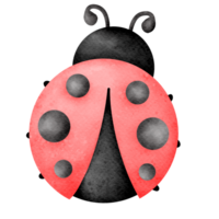 Watercolor ladybug animal png